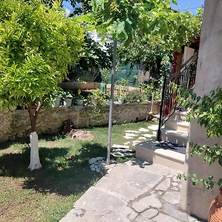 Castelia Traditional Stone شقة